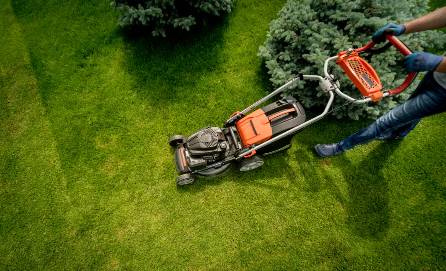 Lawn Care Oklahoma Facility Services - Oklahoma Facility Services Lawn Care.webp